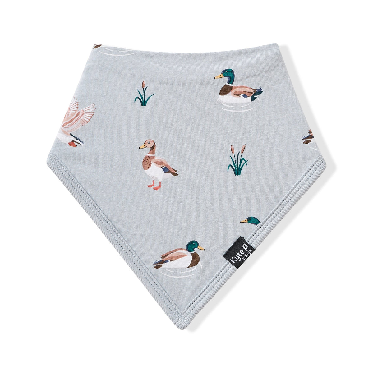 Bib In mallard Duck