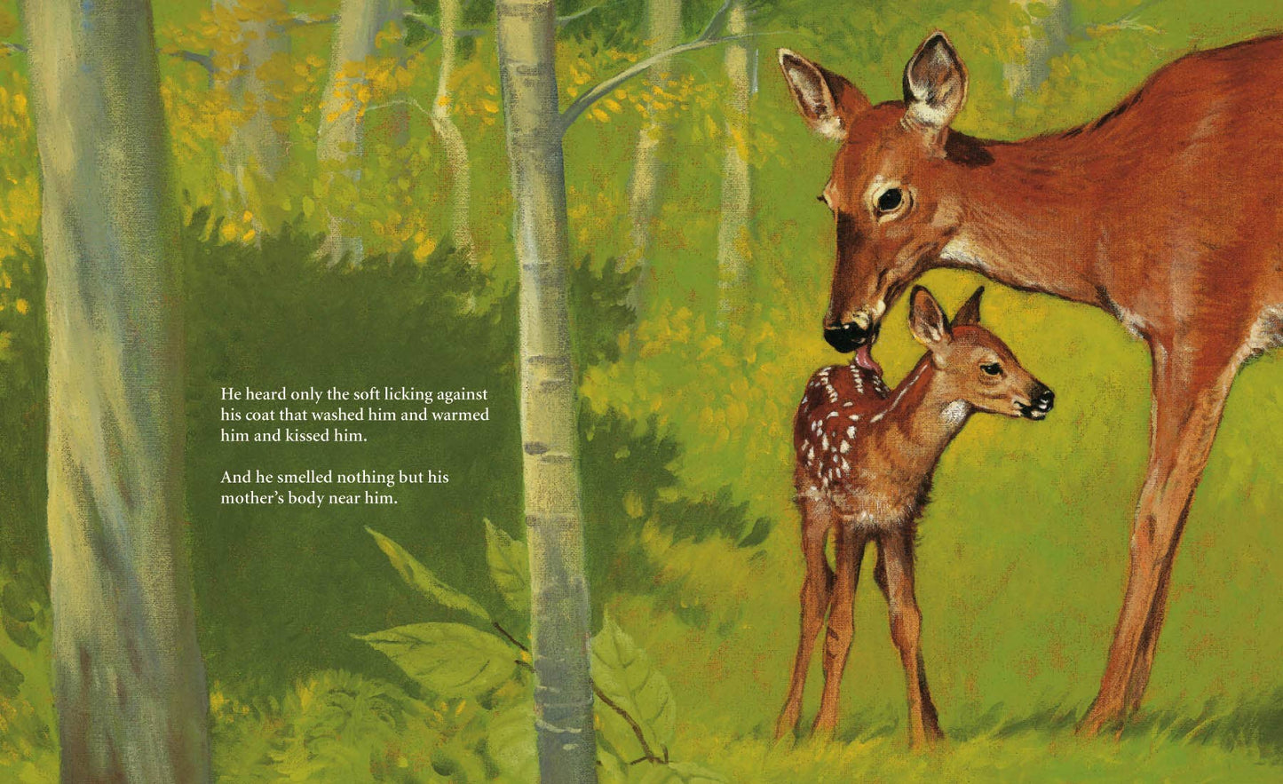 Bambi's First Day Picture Book