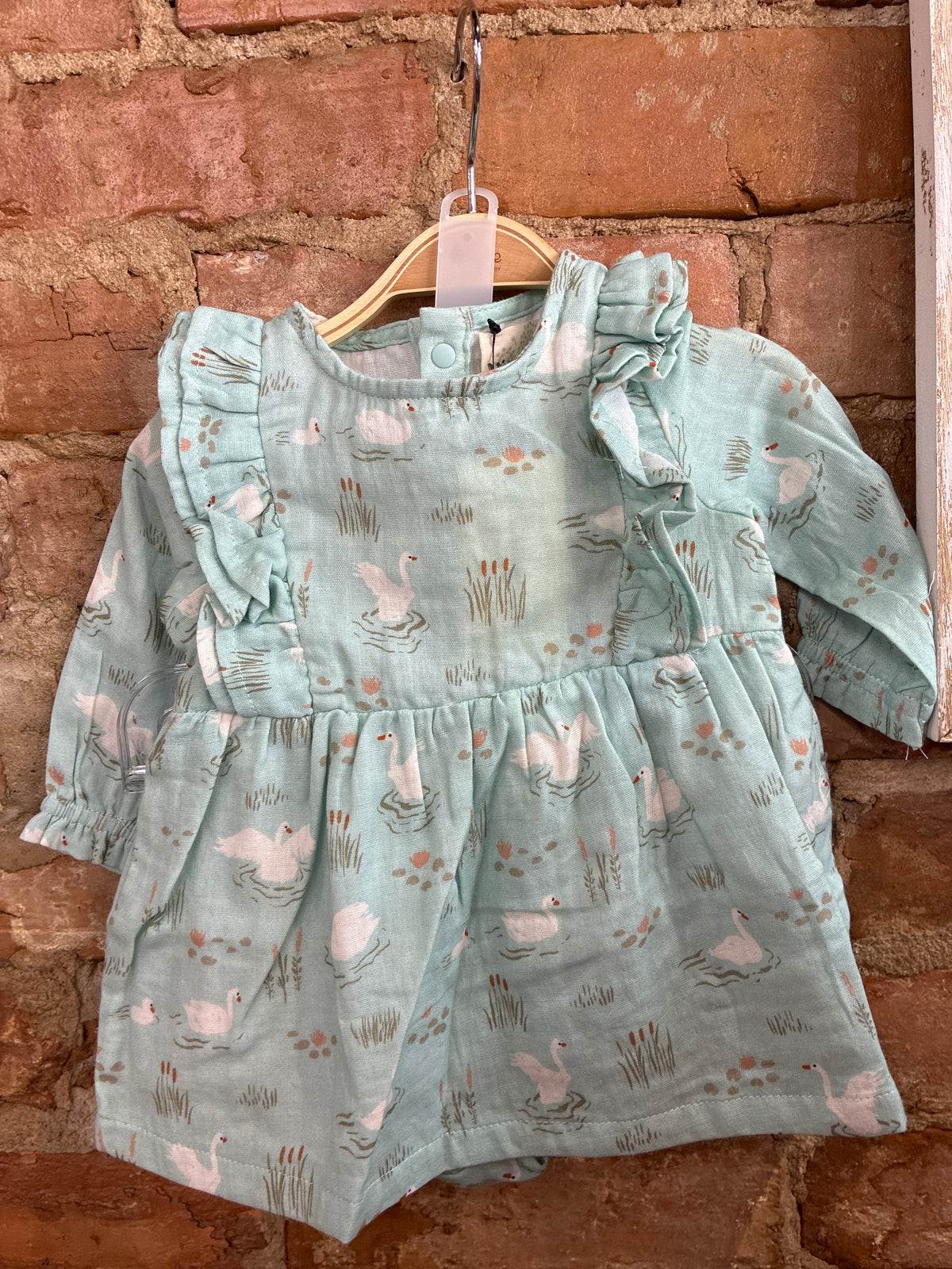 Swan Lake Dress