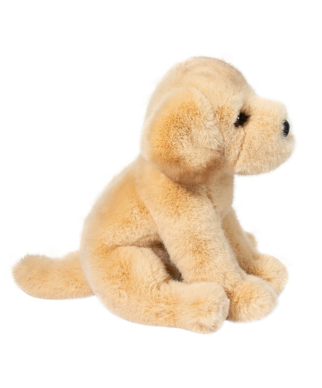 Ace Yellow Lab