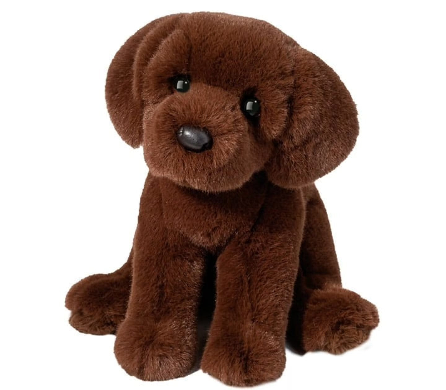 Zoom Chocolate Lab