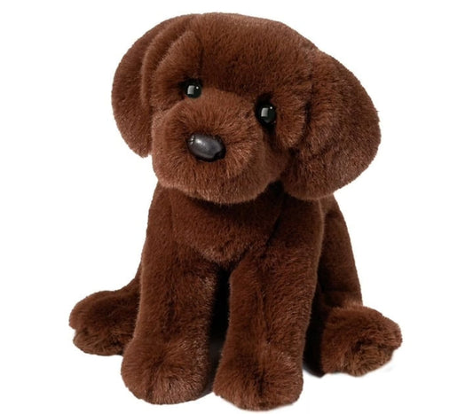 Zoom Chocolate Lab