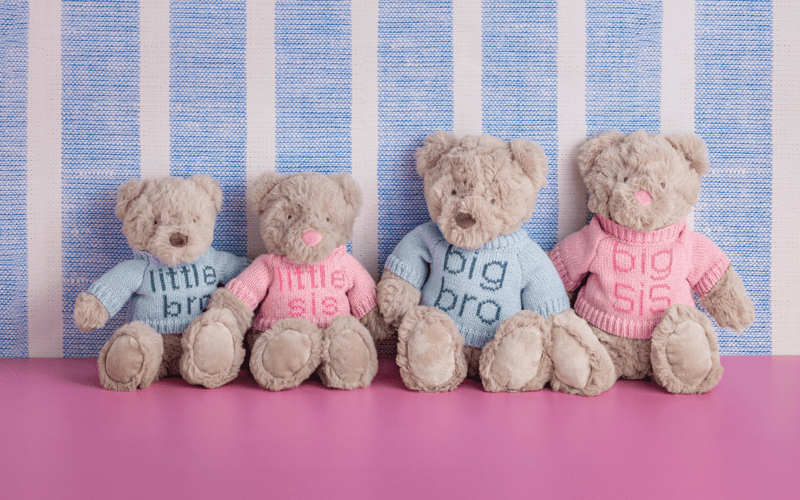 Little Sis Plush Bear