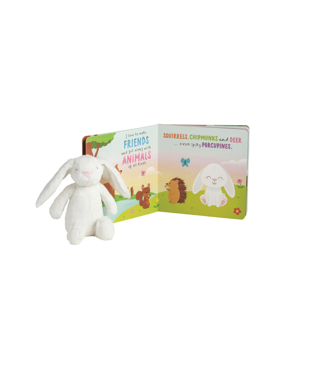 Bunny Book with Plush
