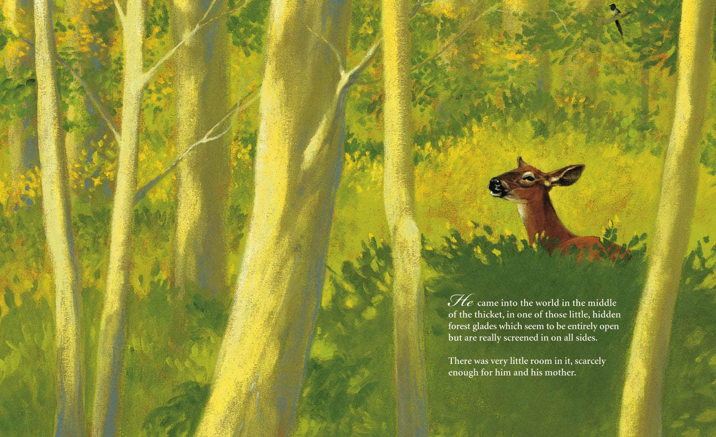 Bambi's First Day Picture Book