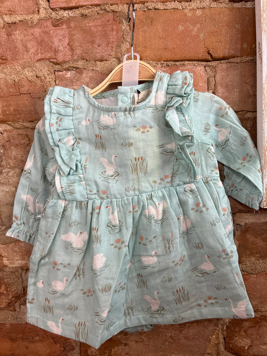 Swan Lake Dress