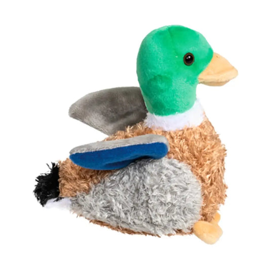 Mallard Duck With sound