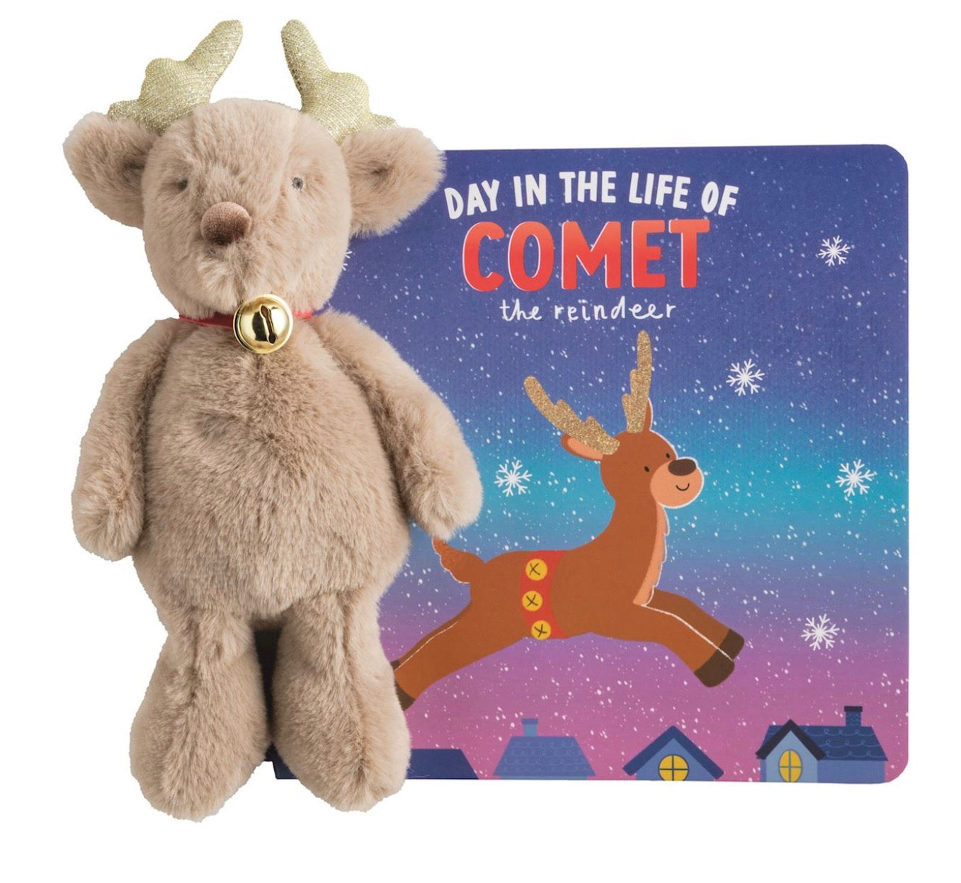 Day In The Life Of Comet