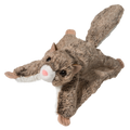 Jumper the Flying Squirrel