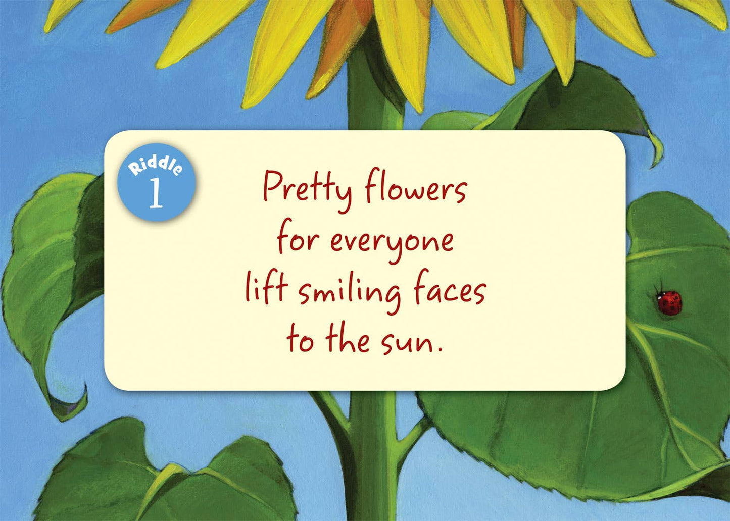 Little Louisiana Board Book