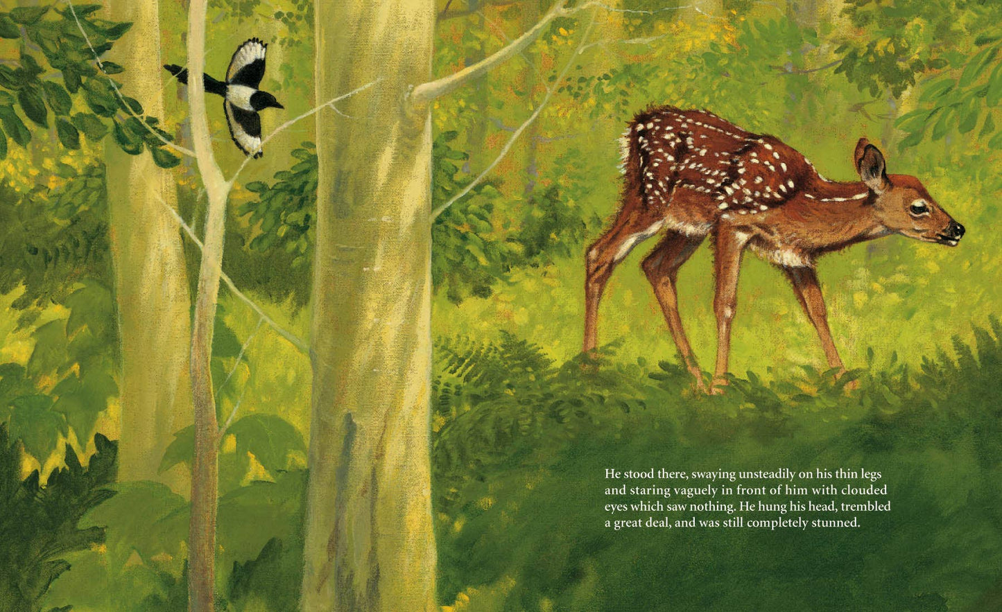 Bambi's First Day Picture Book