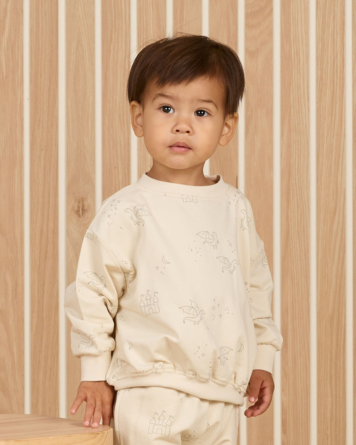 Castles and Dragons Two-Piece Set