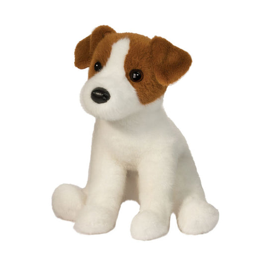 Fiona Jack Russell Terrier