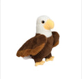 Windy Eagle