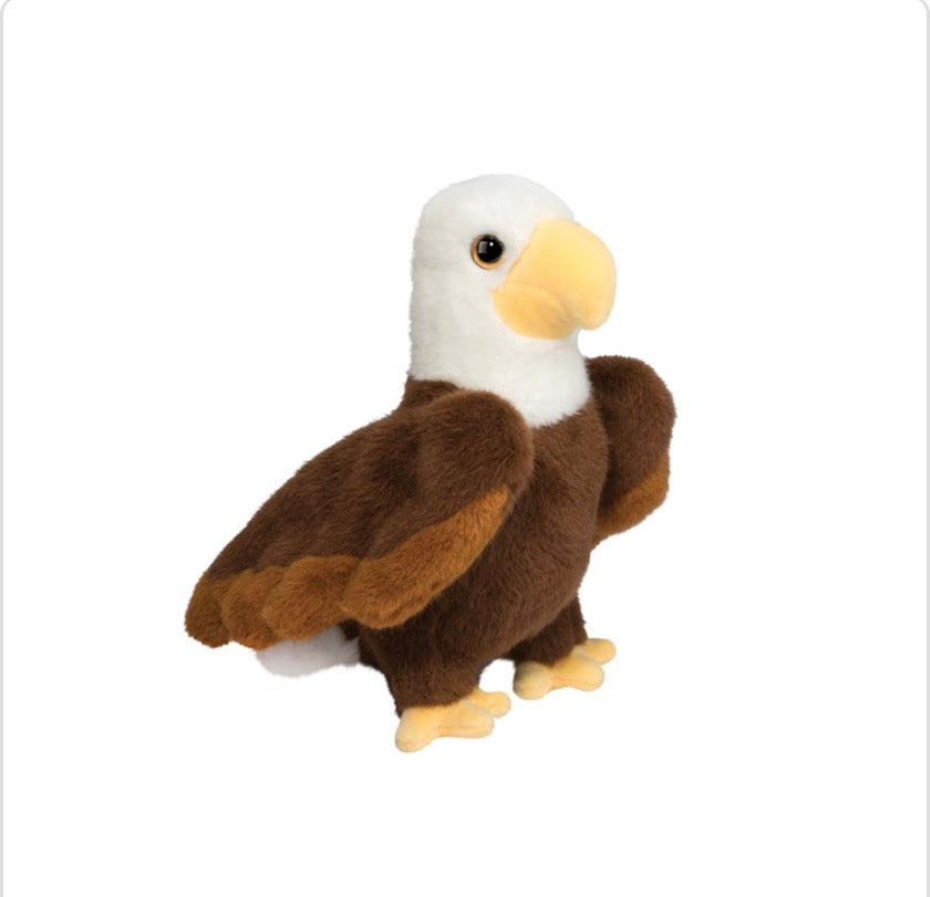Windy Eagle