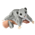 Squeek the Sugar Glider