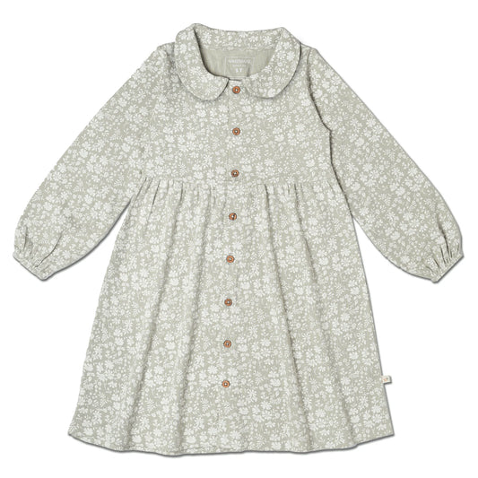 Wild sage Collared Dress
