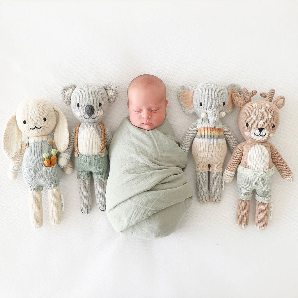 Quinn the Koala