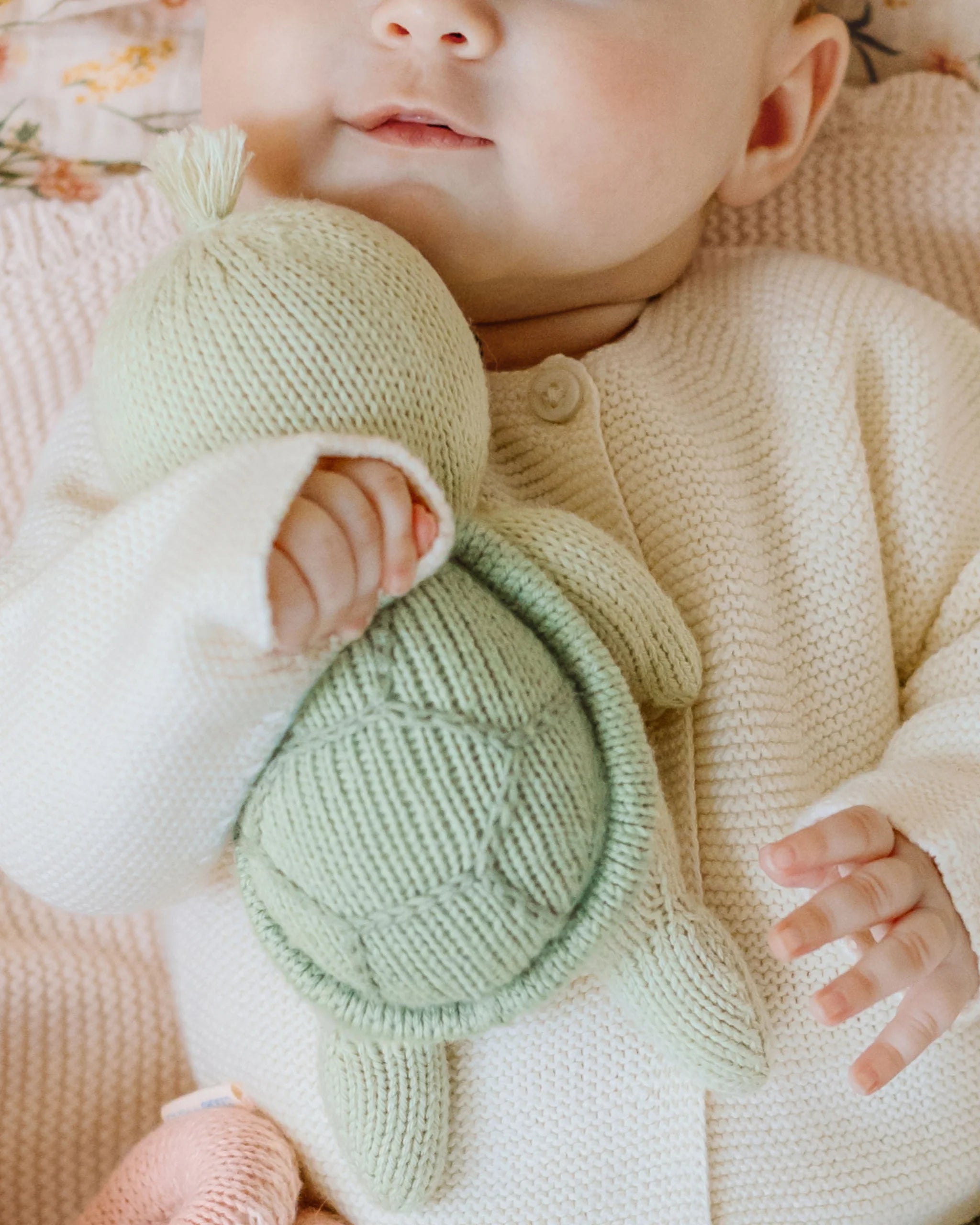 Baby Turtle