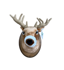 Wall Mount