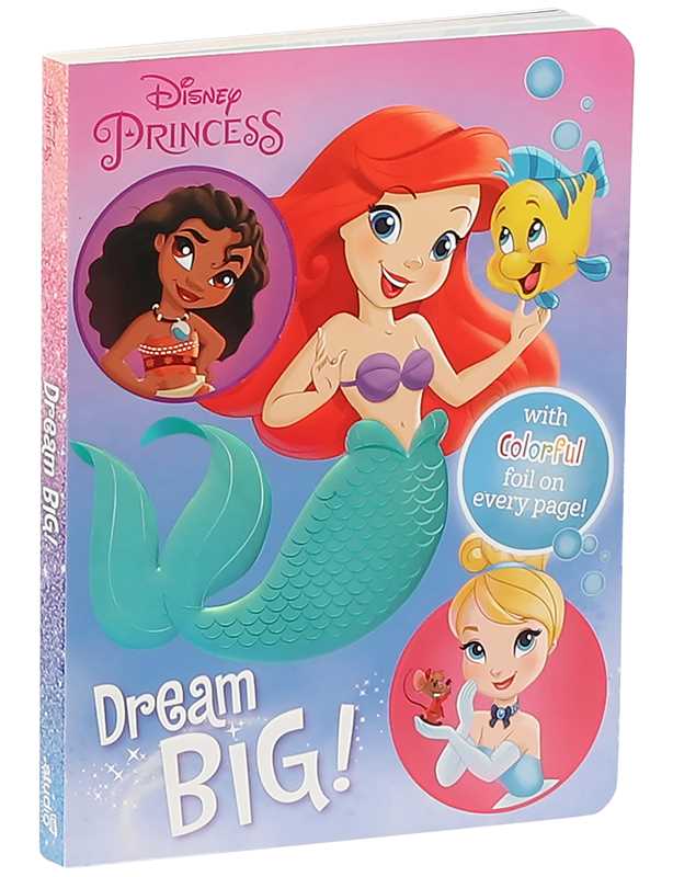 Disney Princess: Dream Big! by Maggie Fischer