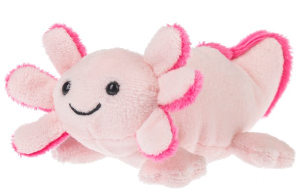 Lil' Axton Axolotl