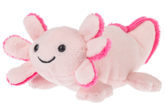 Lil' Axton Axolotl