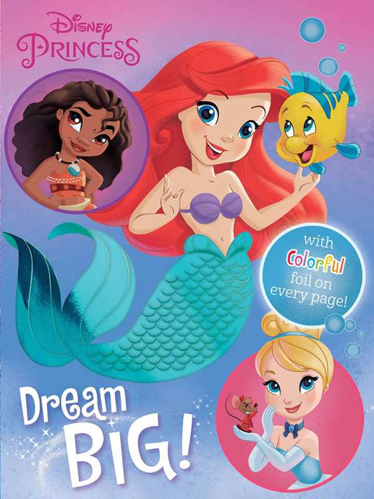 Disney Princess: Dream Big! by Maggie Fischer