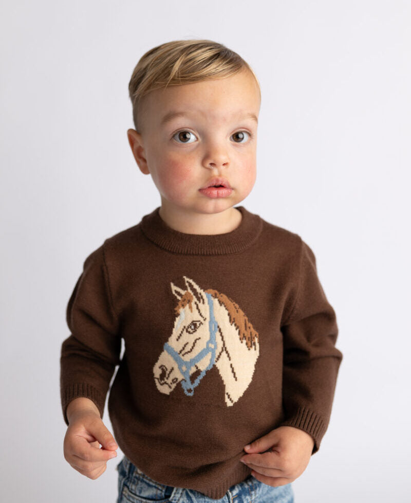 Horse Sweater